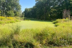 Ohio 9-hole golf course auctioned off for $300K
