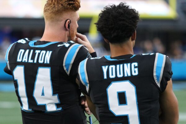 Andy Dalton Bryce Young