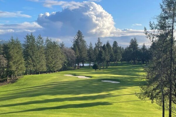 Tree snaps, falls on golfer and kills him on an Oregon golf course