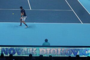 Australian Open Predictions: Djokovic Faces Van de Zandschulp, Mensik Takes on Quinn