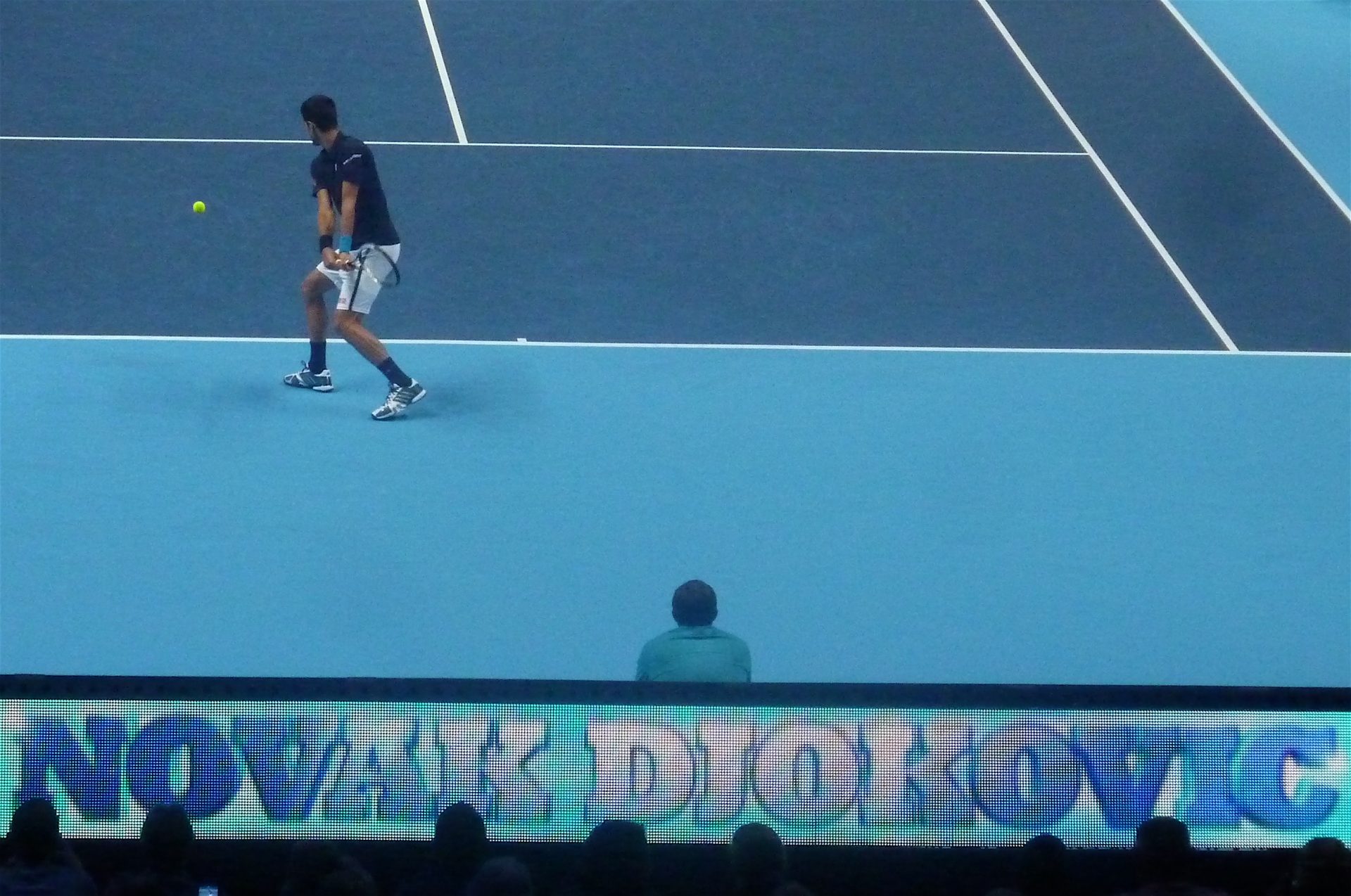 Australian Open Predictions: Djokovic Faces Van de Zandschulp, Mensik Takes on Quinn