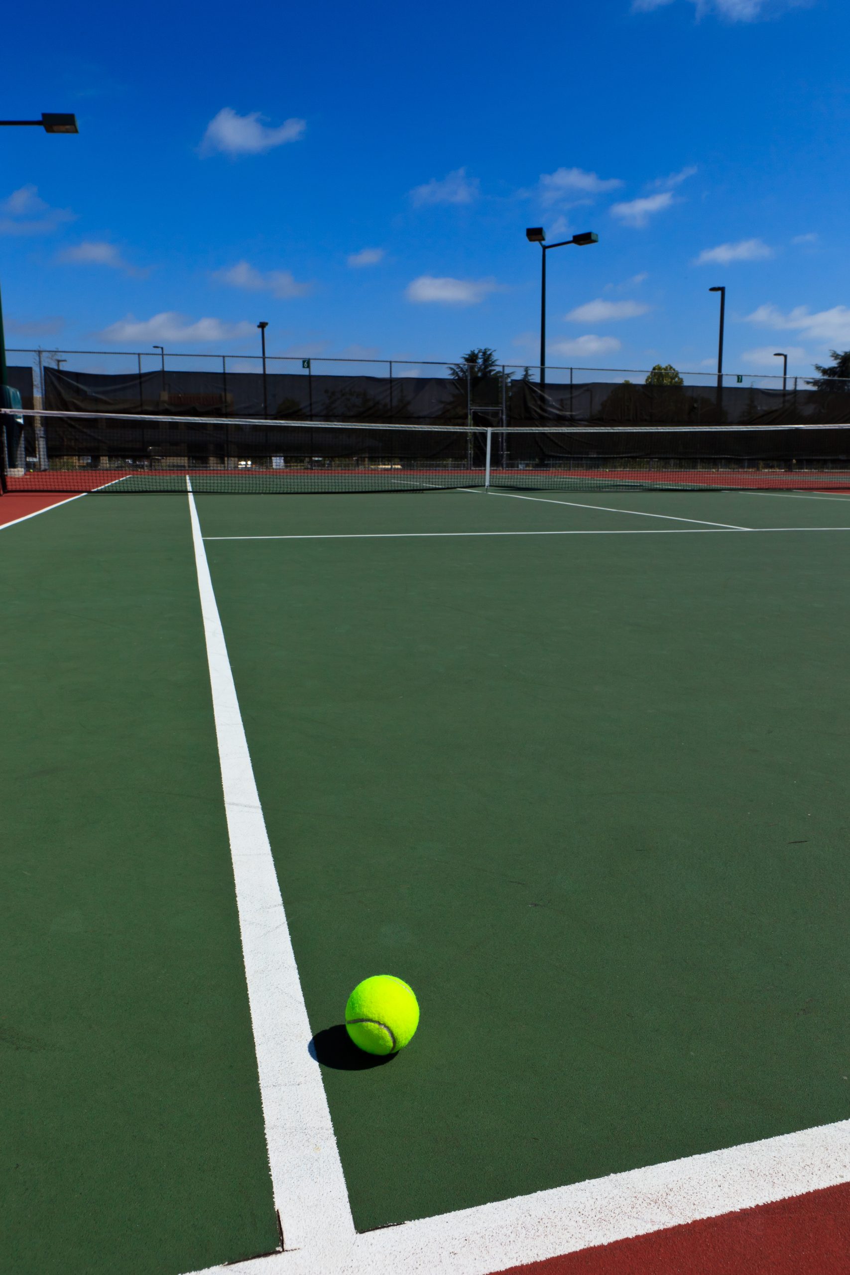 Enhance Your Wellness Routine with Organic Kratom Powder from Organic Kratom USA