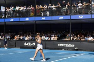 Exploring How Tennis Fans Leverage Analytics to Decode the Game