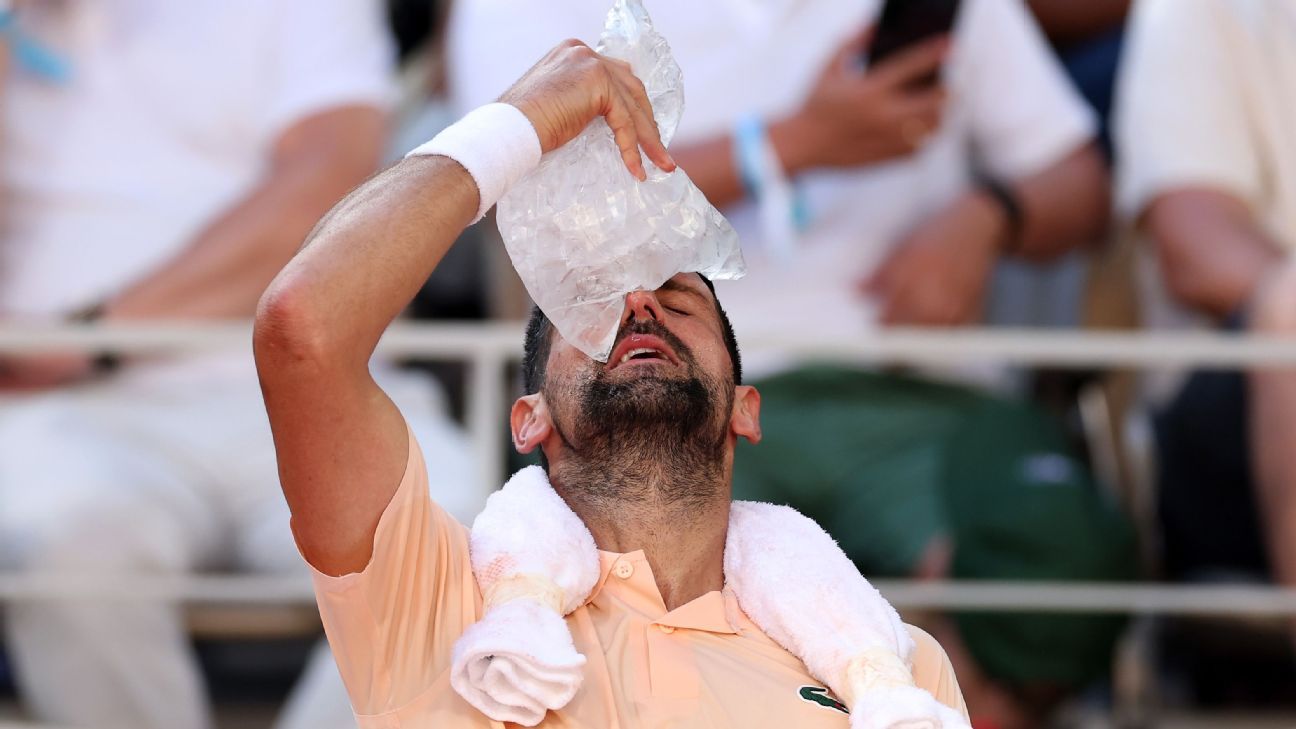 Novak Djokovic Battles Through to Secure 4-Set Victory Against France's Valentin Royer